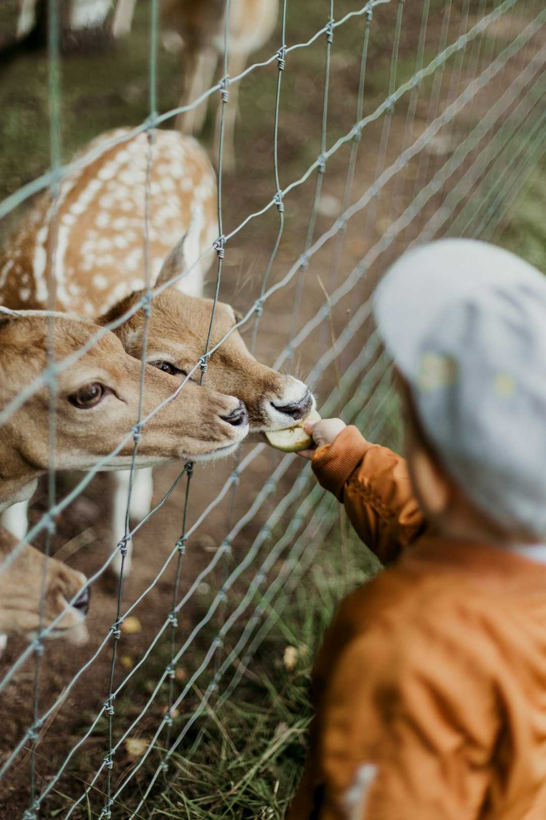 Kuidas valida õige tara?